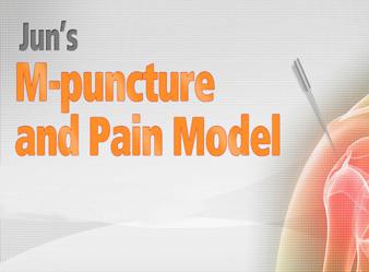 Jun`s M-puncture And Pain Model