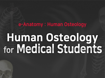 의료보건인을 위한 Human Osteology