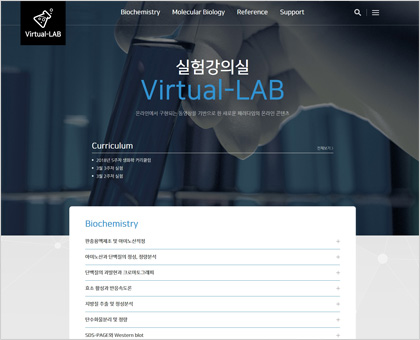 Virtual-LAB